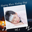 Sleeping Music Healing Sleep Vol. 2 cover