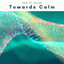 Towards Calm cover