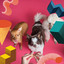 Backdrop for Chilled Pupies - Chill Out cover