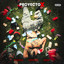 DJ ALEXIS BEAT - PROYECTO X