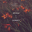 Ember cover