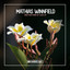 Another Kind of Love - Extended Mix