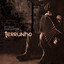 El Cielo Del Albañil cover