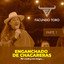 Enganchado de Chacareras, Pt. 1 cover