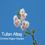 Tufan Altaş