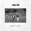 Cali Rd - Falling Fast