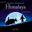 Les traces cover