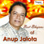 Best Bhajans of Anup Jalota cover