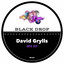 David Grylls — MV (Original Mix) cover art