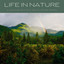 Life In Nature: A Soothing Bath With Gentle Nature Sounds cover