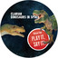 Dinosaurs In Space - Paul Ritch's Astro Lizard Mix