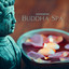 Japanese Buddha Spa: Awakening Asian Spa Music Meditation, Zen Garden Compilation, Flute Songs for Yoga, Massage & Spa Relaxation cover