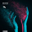 Molecules cover art