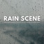 Rain Scene: Your New Favorite Playlist To Fall Asleep To Every Night cover
