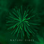 Nature Vibes: Relaxing Sounds for Meditation, Studying or Sleeping & 8D Audio Music cover