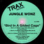 Bird in a Gilded Cage - Club Mix