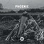 Phoenix (DJ Mix) cover