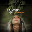 Flûte amérindienne cover