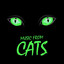 The Rum Tum Tugger cover