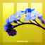 Caucasus - Extended Mix