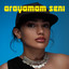 Arayamam Seni