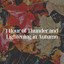 1 Hour of Thunder and Lightening in Autumn cover