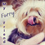 My Furry Friend - Stress Relief, Sleep Aids, Music Therapy for Dogs, Comfort and Happiness with Nature Sounds cover