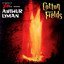 Cotton Fields cover
