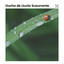 Ducha de Lluvia Susurrante cover