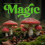 Magic artwork