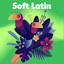 Soft Latin cover