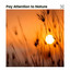 Pay Attention to Nature cover