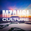 Mzanzi Culture: Vol 1 cover