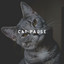 Cat Pause cover