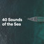 40 Sounds of the Sea cover