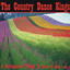 A Retrospective Tribute to Brooks & Dunn, Vol. 2 cover