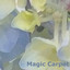 Magic Carpet cover