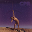 CPR cover