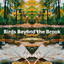 Birds Beyond the Brook