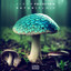 Psilocybin - Satori Remix