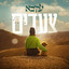 צעדים cover