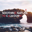 Soothing Nature to Calm Down – Relaxing Bird Sounds, Stress Relief, Music for Mind Calmness cover