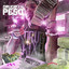 Drugrixh cover