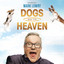 Dogs Go To Heaven (Live) cover