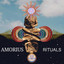 Rituals, Pt. I artwork
