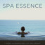 Spa Essence: A Serene Environment For A Full Body Massage cover