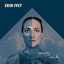Solace In The Wild cover