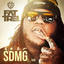 SDMG cover