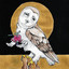 Kevin Morby, Waxahatchee - Farewell Transmission