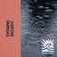 zZz Evening Melody: Raining Over the Marsh zZz cover